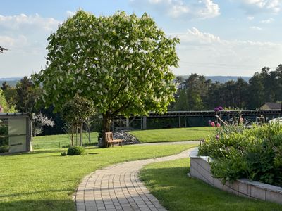 Bank im Garten unter Kastaninenbaum