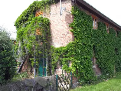 Ferienwohnung für 4 Personen (58 m²) in Spandowerhagen 3/10