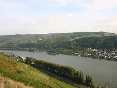 Weinberg