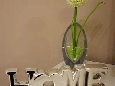 Ferienwohnung für 3 Personen (65 m²) in Spelle 7/10