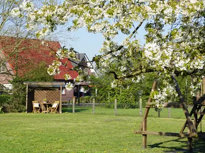 Ferienwohnung für 3 Personen (65 m²) in Spelle 8/10