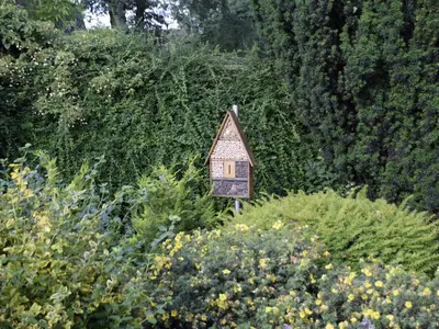 Ferienwohnung für 3 Personen (65 m²) in Spelle 9/10