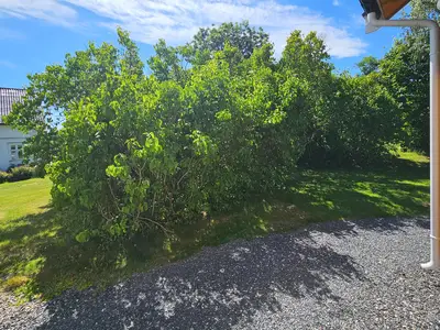 outside