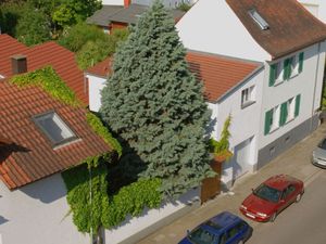 23953918-Ferienwohnung-3-Speyer-300x225-5