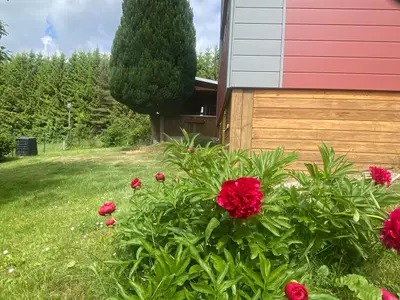 FeWo-Waidla-Garten