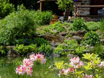 Ferienwohnung für 2 Personen (37 m²) in Spiegelau 10/10