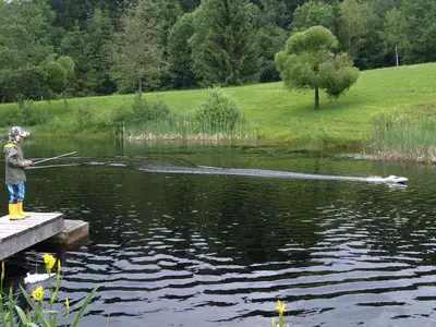 Kurparksee Spiegelau