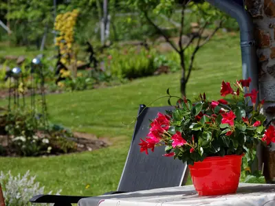 Ferienwohnung für 4 Personen (48 m²) in Spiegelau 10/10