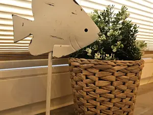 Ferienwohnung für 3 Personen (35 m²) in Spiekeroog