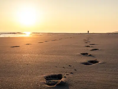 Ferienwohnung für 2 Personen (25 m²) in Spiekeroog 9/10