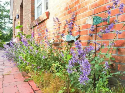 Ferienwohnung für 3 Personen (50 m²) in Spiekeroog 9/10