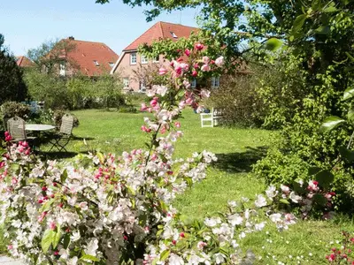 Ferienwohnung für 3 Personen (50 m²) in Spiekeroog 10/10