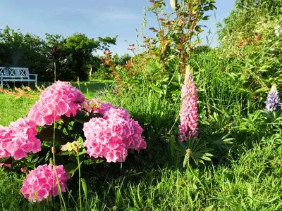 Ferienwohnung für 2 Personen (28 m²) in Spiekeroog 8/10