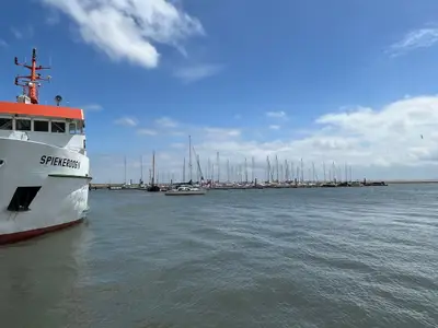 Ferienwohnung für 4 Personen (36 m²) in Spiekeroog 9/10