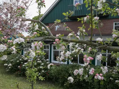 Ferienwohnung für 4 Personen (45 m²) in Spiekeroog 5/10