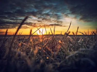 Ferienwohnung für 2 Personen (49 m²) in Spiekeroog 8/10