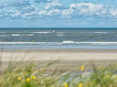 Ferienwohnung für 3 Personen (45 m²) in Spiekeroog 9/10