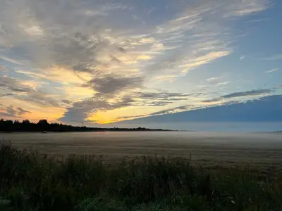 Ferienwohnung für 4 Personen (70 m²) in Spiekeroog 4/10