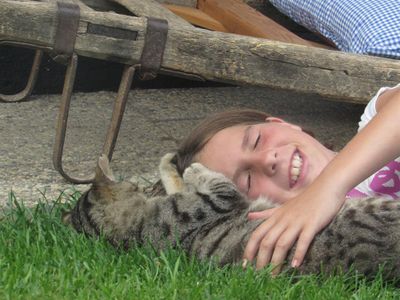 Kuscheln mit Katzen