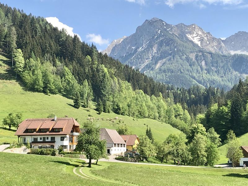 18707120-Ferienwohnung-8-Spital am Pyhrn-800x600-0