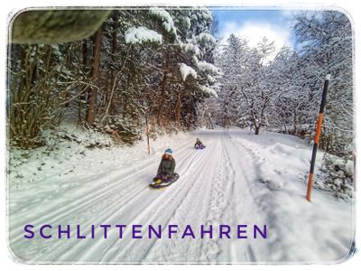 Schlittenfahren Schlittenfahren