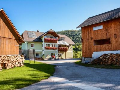 Ferienwohnung für 4 Personen (42 m²) in Spital am Pyhrn 6/10