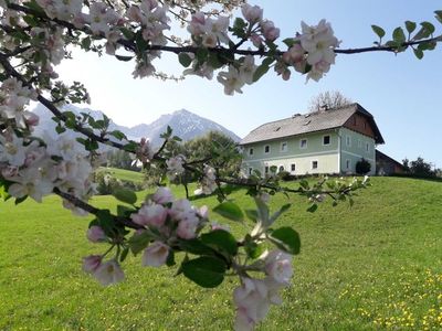 Ferienwohnung für 5 Personen (56 m²) in Spital am Pyhrn 7/10