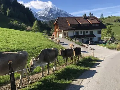 Ferienwohnung für 5 Personen (75 m²) in Spital am Pyhrn 8/10
