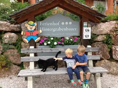 Ferienwohnung für 5 Personen (75 m²) in Spital am Pyhrn 9/10