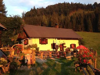 Ferienwohnung für 5 Personen (75 m²) in Spital am Pyhrn 10/10