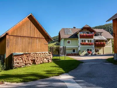 Ferienwohnung für 4 Personen (46 m²) in Spital am Pyhrn 2/10