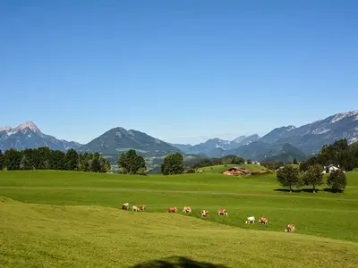 Ferienwohnung für 4 Personen (46 m²) in Spital am Pyhrn 6/10