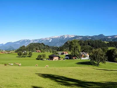 Ferienwohnung für 4 Personen (46 m²) in Spital am Pyhrn 8/10