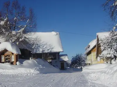 Ferienwohnung für 5 Personen (60 m²) in Spital am Pyhrn 3/10