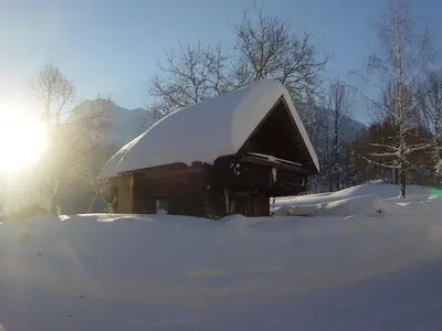 Ferienwohnung für 5 Personen (60 m²) in Spital am Pyhrn 5/10