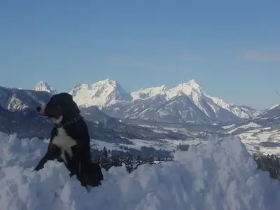 Ferienwohnung für 5 Personen (60 m²) in Spital am Pyhrn 7/10