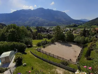 Ferienwohnung für 4 Personen (65 m²) in Spital am Pyhrn 4/10