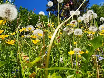 Ferienwohnung für 4 Personen (65 m²) in Spital am Pyhrn 10/10