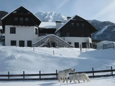 Ferienwohnung für 4 Personen (65 m²) in Spital am Pyhrn 9/10
