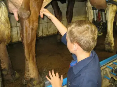 Ferienwohnung für 5 Personen (65 m²) in Spital am Pyhrn 9/10