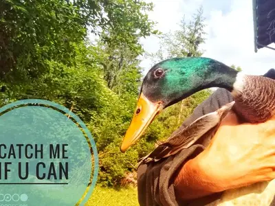 Ferienwohnung für 4 Personen (56 m²) in Spital am Pyhrn 9/10