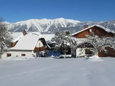 Ferienwohnung für 4 Personen (60 m²) in Spital am Pyhrn 1/10