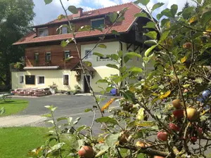 Ferienwohnung für 5 Personen (60 m²) in Rothenthurn