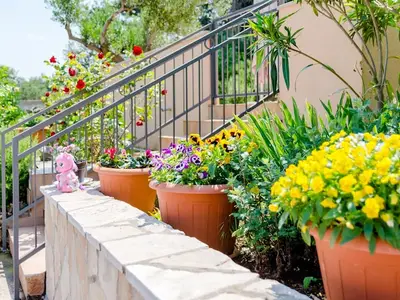 GardenSummer