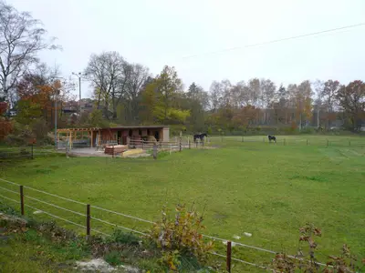 FW Bartels Weidegang und Gastboxen