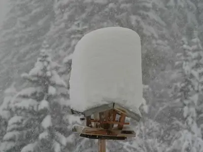 Ferienwohnung für 3 Personen (33 m²) in St. Anton am Arlberg 4/10