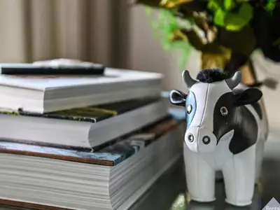 Ferienwohnung für 5 Personen (39 m²) in St Bon Tarentaise 3/10