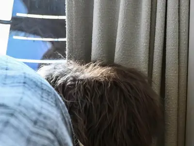 Ferienwohnung für 5 Personen (39 m²) in St Bon Tarentaise 10/10