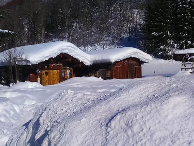 Blick in den Garten