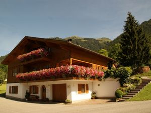 Ferienwohnung für 4 Personen (40 m²) in St. Gallenkirch